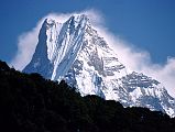 604 Machapuchare From Tadapani